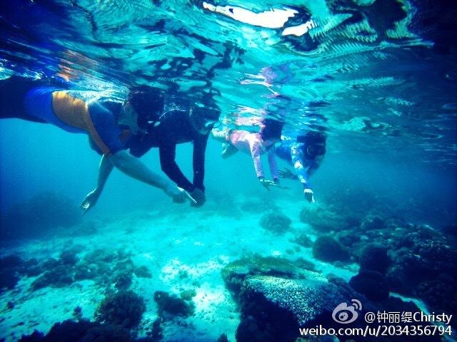 探索蜗牛世界,尽在什么时候见对方家长最合适呢?问答平台